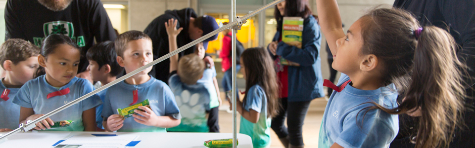 Teacher Preparation Program - Grade school students visiting UC Merced science labs